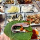 다복횟집 여수 현지인 추천 하모 샤브샤브 맛집!