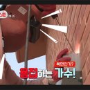 1박2일노래장