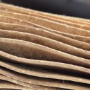 정왕카센타 이미지