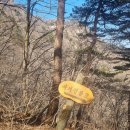 송정주차장 이미지