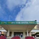 자은중학교 이미지