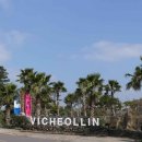 비체올린 이미지