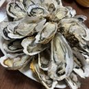 도시속바다 이미지