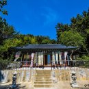 완월동130 이미지