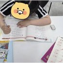 스텔라영어초등영어교습소