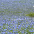 태신목장 이미지