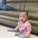 수진이네집