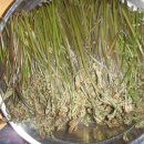 날마다 소풍 이미지