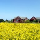 바램펜션 Daum카페