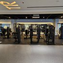 트라이 피트니스 이미지