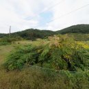 토담공인중개사사무소 이미지