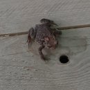 삼방초병설유치원 이미지