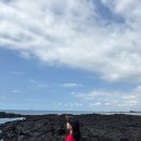 영우목장 이미지