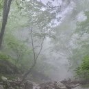 동화천 이미지
