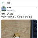 원봉초교 이미지