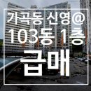 신영 행정사 이미지