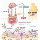 새로운신경과의원 | 주사피부염(rosacea) 치료 후기“25년간 지속된 홍조와 요철, 신경을 잡자 진피가 반응했다
