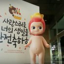 마리에소니 이미지