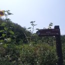 호암민박 이미지