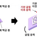 ibs프린팅