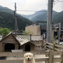 문경가름펜션 이미지