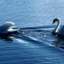 화신중학교 이미지