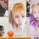 주식회사 팜팜 - 서구 | 주식회사 팜팜