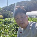 김주일농장 이미지