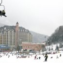 양지파인리조트 이미지