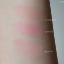 VDL 치크 스테인 블러셔 잇츠구아바 내돈내산 후기 : 미스티애프리콧, 바운싱피치 비교