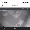 댕댕이 보호구역 이미지