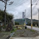 [청주] 청주 신상 캠핑장 애견동반 가능한 옥화포시즌 캠핑장 다녀오다