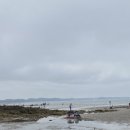 엘로망 | 태안 몽산포 해수욕장 맛조개 해루질 엘로망펜션