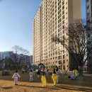 부용고등학교 | 티앤티태권도 힐링데이, 벚꽃 산책다녀온 후기🌸