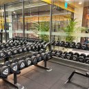 5532 | 동탄에서 찾은 내 최애 헬스장, 모델짐 호수공원점 후기^^!