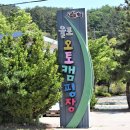 율포오토캠핑장 티스토리