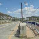 용문산 은행나무길(물소리길 6코스) 이미지