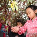 보리수어린이집