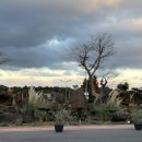 동화정비 | 제주 동화마을 스타벅스 리저브 매장 후기｜아이와 산책 후 쉬어가기 좋은 제주 카페