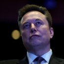 메디칼릴리 이미지