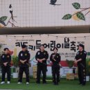 진영 실전합기도 이미지