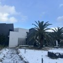 블루스프링리조트 이미지