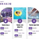 (목요힐링여행) 8월 27일 국내 최대 맥문동 군락지에서 펼쳐지는 보라빛축제.. 장항 맥문동 꽃 축제 &amp; 서천 힐링여행 이미지