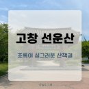 국수나무 (선운점) | 고창 선운사 산책 후 맛집