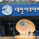 대사동 작은도서관 | 대전 보문산 아쿠아리움 &amp; 동물원_대전 아쿠아리움
