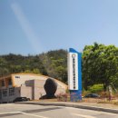 단과일 충남교육청 교육연수원 프리미엄 단체 과일 샌드위치 간식 도시락 배달 후기