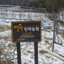 별빛 민박 이미지