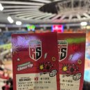 41190-01-07-373 | [직관 리뷰] 260222 정관장 흥국생명 여자배구 직관 후 핵심 체크, 리뷰 및 결과