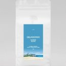 델문도로스터스 이미지