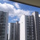 배울1로 이미지